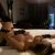Antalya Eşsiz Çıtır Escort Ela Bambaşka - Image 1