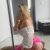 Özel Escort Felişya ile Birlikte Olun - Image 3