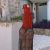 Antalya Escort Hatun Masal - Image 1