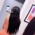 Alanya Escort İri Memeli Hatun Gonca - Image 2