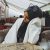 Antalya Escort Güzel Ve Çekici Lina - Image 2