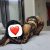 Unutulmaz Anlar Yaşatan Antalya Escort Luna - Image 3